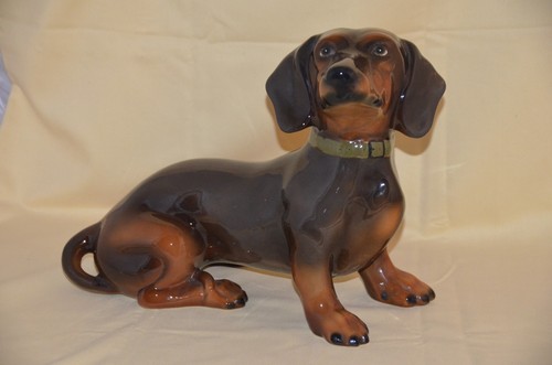 Dackel hund - dackel,