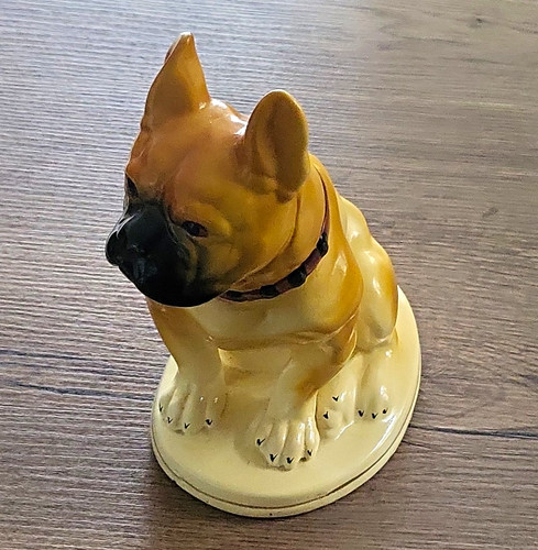 Französische bulldogge - französische,